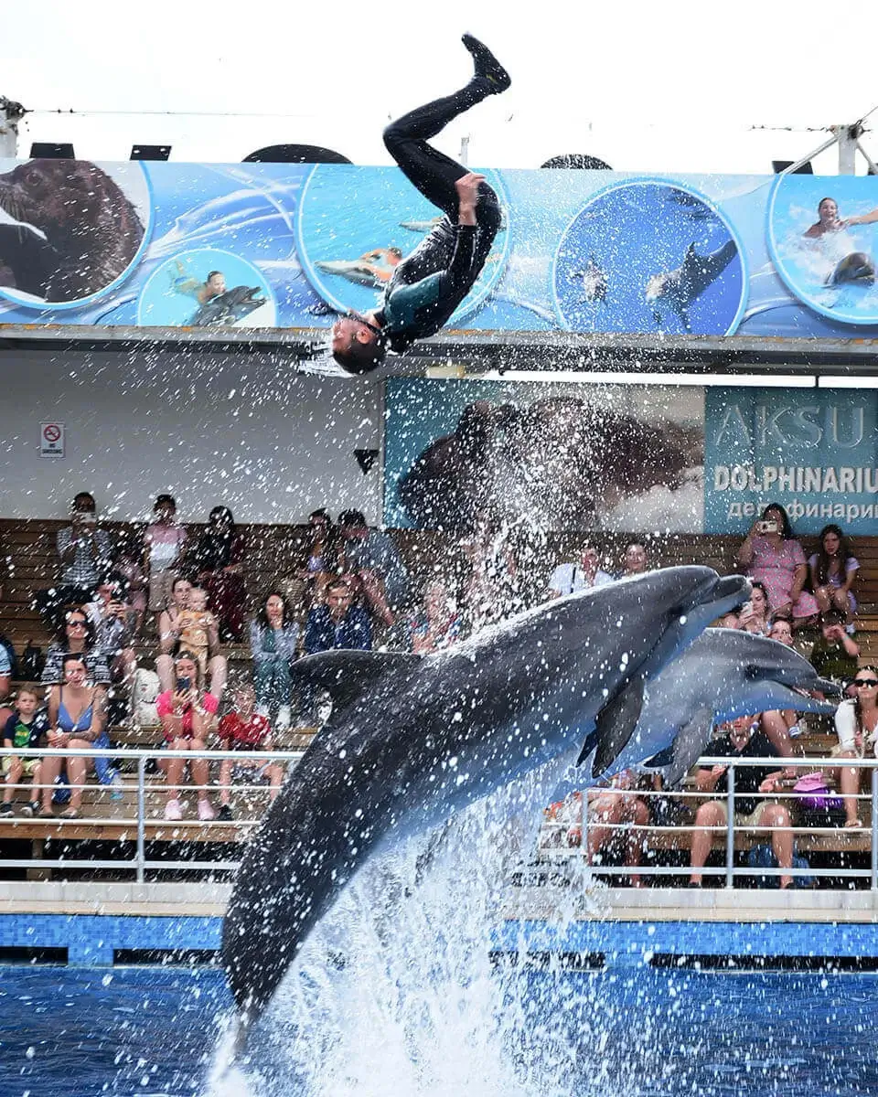 Dolphin show — Antalya excursion