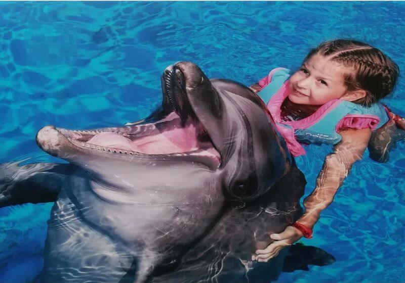 Dolphin swim experience — Antalya excursion